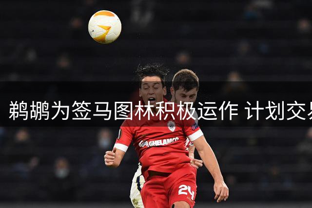鹈鹕为签马图林积极运作 计划交易霍金斯清理薪金空间